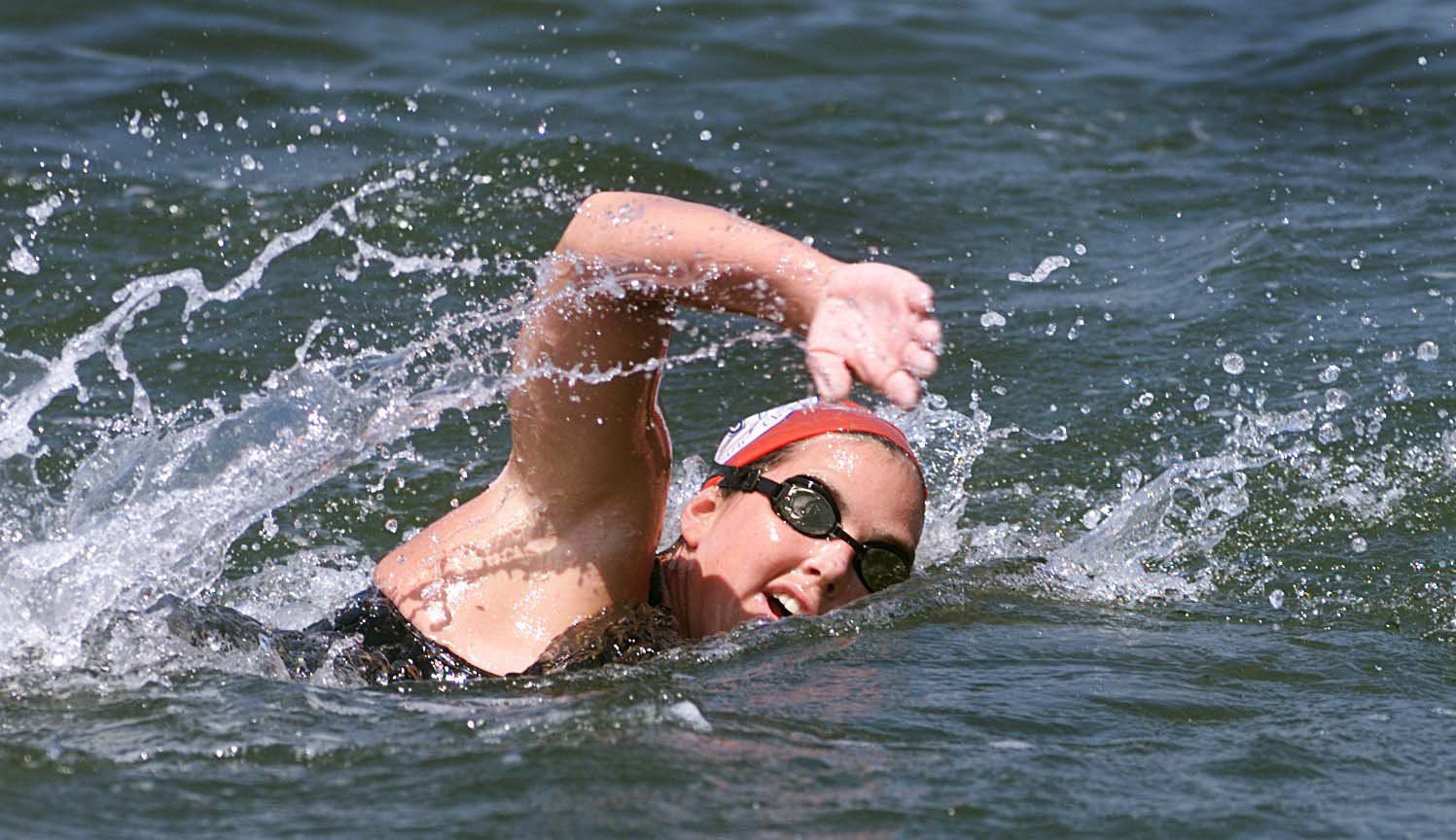 Around the Island Swim